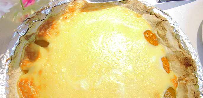 Saftiger Aprikosenksekuchen auf einem knusprigem Knetteigboden!