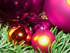 Rosarote Weihnachtsbaumkugeln auf Tannengrn!