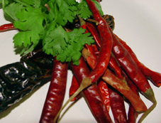 Mexikanische Chiles Jalapeno und Koriander! Mexikanische Chiles Jalapeno und Koriander!